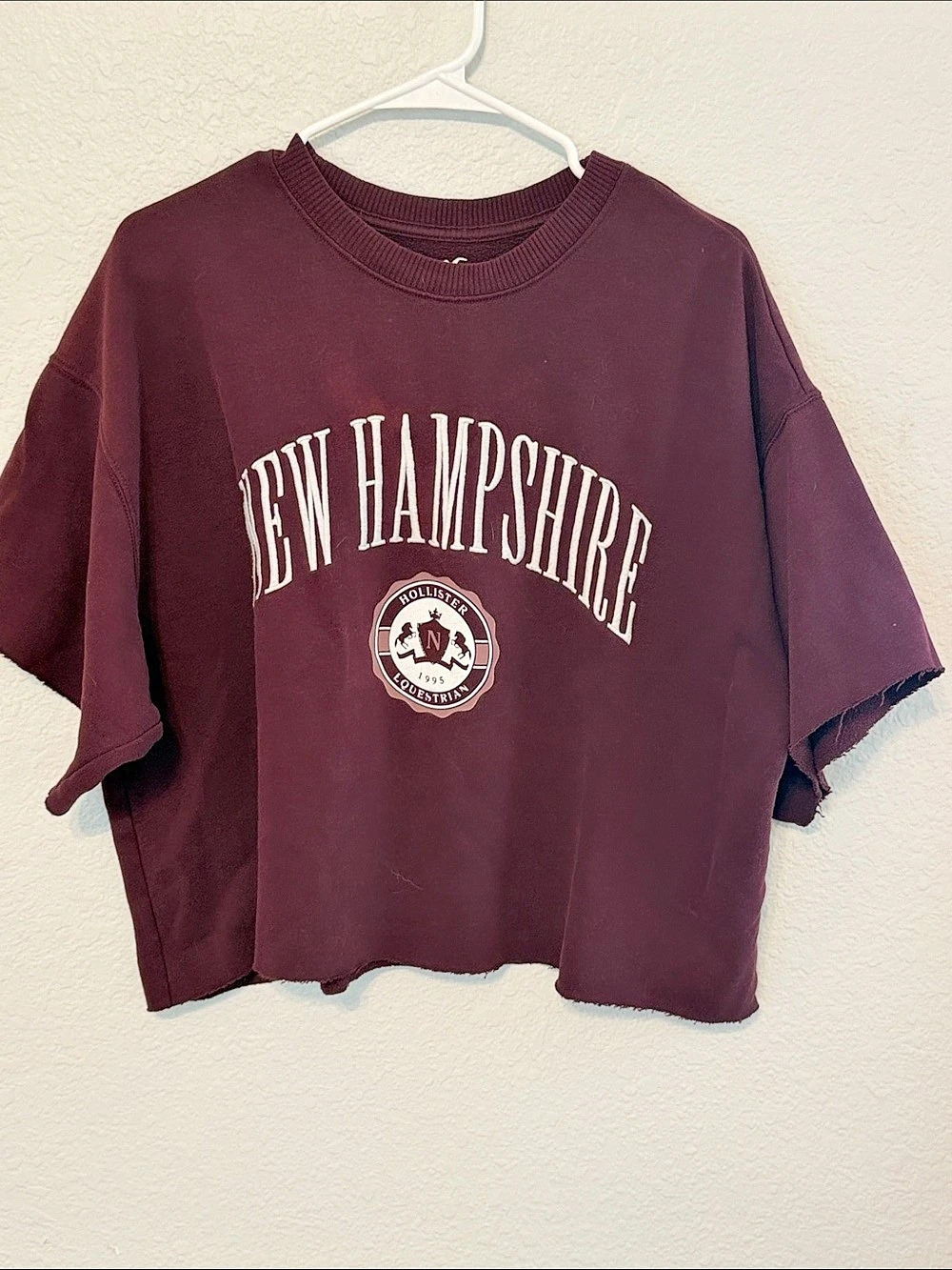 Hollister New Hampshire Graphic Oversized Crewneck Burgundy Large